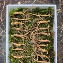 세근농장 이미지