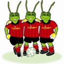 타우랑가 Grasshopper Soccer(타우랑가 축구교실 정보) 이미지