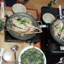 신선계곡야영장 이미지