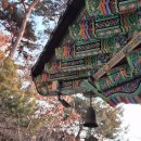 문무관 | [서울]한겨울 도봉산 천축사 템플스테이 후기