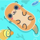 Otter(오터) | Otter Ocean 앱 다운로드