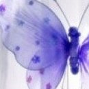 오션파라다이스 이미지