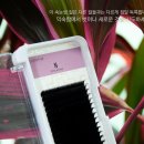 티지인터내셔널 이미지