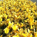 순희농장 이미지