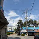 알마트 | [주문진 건어물] 주문진 수산시장 맛집 주차 팁과 돌고래 건어물 쇼핑 후기