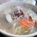 달빛조개 이미지