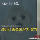 다나음동물병원 이미지