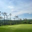 레이크사이드대중 | 용인 '레이크사이드CC' 이용안내, 이용팁