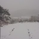 애들아범펜션 이미지