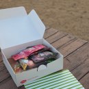 더밥 | [후기] 하림펫푸드 더리얼 밥꾸세트 강아지 밥 꾸미기!