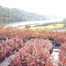 추평농장 이미지