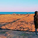 신천목장 이미지