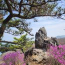 북병산 Daum카페