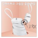 워싱턴 DC 여행기 :: 미국 한 달 살기 - 1주차