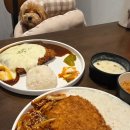 왈왈이애견카페웨스턴돔점 | 일산웨스턴돔맛집 아또돈까스 쭉쭉 늘어나는 치이이이즈 돈까스와 제육돈까스
