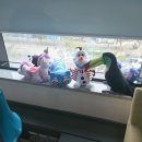 연세아이웃음꽃치과의원 | 신원동 영유아, 어린이 전용 치과 연세 아이 웃음꽃 치과