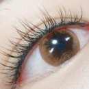 쥬쥬살롱 이미지