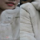 진성코퍼레이션 이미지