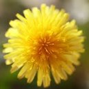 네이쳐스키 이미지