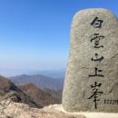 광양사 네이버블로그