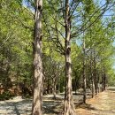 관광농원낚시터 이미지