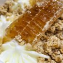 [축산신문] 인기 시든 벌집꿀, 도매가격 폭락…재고만 쌓인다 이미지