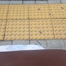 (주)제이삼 | 다 먹은 옥수수와 말랑말랑한 마음 같은 것