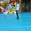 피노키오관광농원 이미지