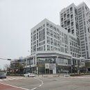 송 실내테니스 아카데미 | 인천 송도 실내 테니스장 메이저 실내테니스 아카데미 테린이 레슨 후기