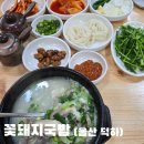 온산로+덕하로 이미지