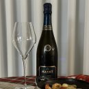 까바 빈티지 그랑 레세르바 2020 , Maset Cava Vintage Gran Reserva 2020 (뱅가드와인머천트 와인 추천)