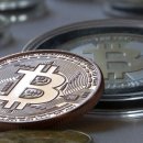 큐브트리 이미지