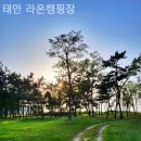 태안라온캠핑장 | [태안/캠핑장/글램핑] 태안 라온캠핑장 도시 근교에서 즐기는 소확행 캠핑