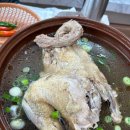 해물밭에 노는 닭 이미지