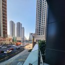 대성동물병원 이미지