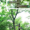 노고산 등산로 이미지