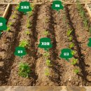 계양농약사 이미지