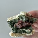다참컴퍼니 | 부산 마카롱 맛집 부산역 초량동 참맛카롱 짱맛탱 후기 내돈내산
