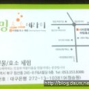 효소테라피 이미지