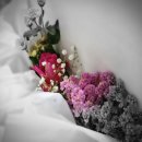 송산경로식당 이미지