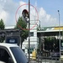 도봉구민회관 이미지