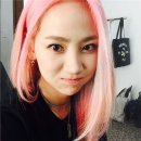 예은 이미지