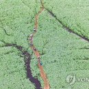 성읍리-28 이미지