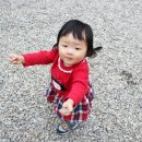 세르니띠 이미지