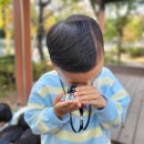 석천초등학교병설유치원 이미지