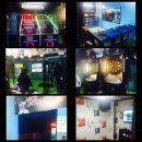 플레이존 게임장 이미지