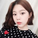 도트도이 이미지
