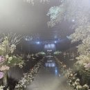 01. 홀투어 - 에스칼라디움 웨딩홀 투어 후기 (당일계약)