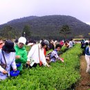 희연농장 이미지