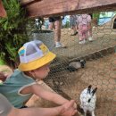 주호 농장 이미지